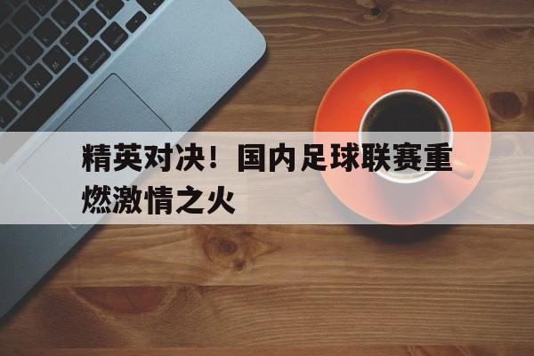 关于精英对决！国内足球联赛重燃激情之火的信息